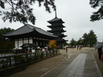 kofukuji091122-1.jpg